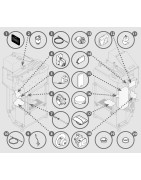 MB PELLET W23 DX - 6092307600