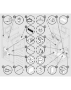 AKTIV 23S - 7295040409