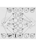 MIGLIO 10 - 6192309600