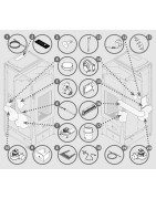 ATLANTIS ED-N12 + BeeFire - 7294051900C